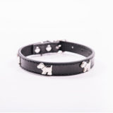 犬の首輪の選び方！首輪の種類と正しい選び方とは？