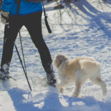 愛犬と一緒に受講するドッグトレーニングから、犬のしつけ、お散歩代行、LINE無料相談、ドッグホテル、ドッグ幼稚園、世田谷を中心に東京23区、神奈川、埼玉へ出張ドッグトレーニングサービスを提供しております。