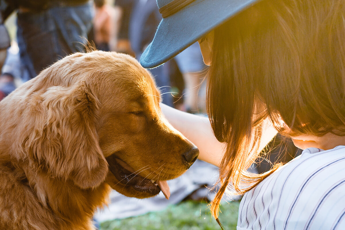 犬との信頼関係を築くための３つのコツ 犬のしつけ ハグ