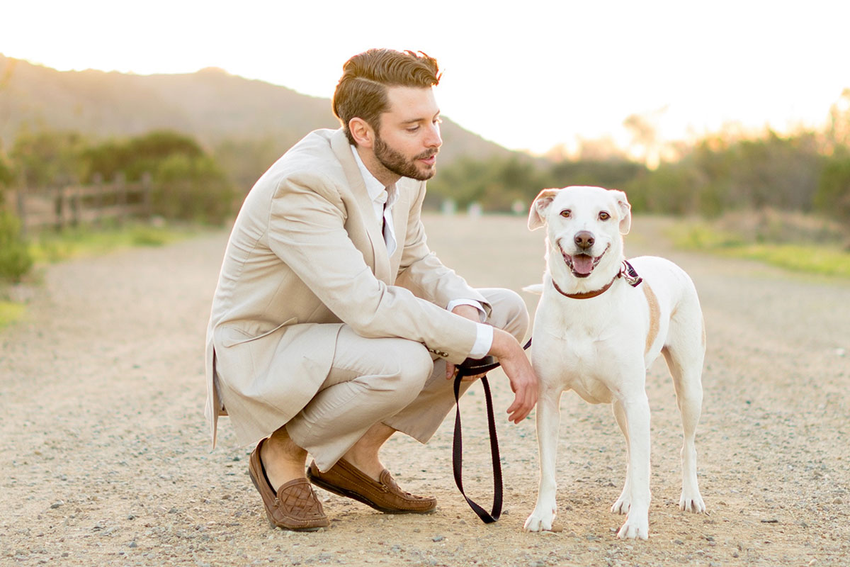 散歩嫌いの犬対策は原因究明から お散歩が嫌いになる理由とは 怖い思いをした リードが嫌い シニア犬の場合腰や関節に異常 犬のしつけハグ