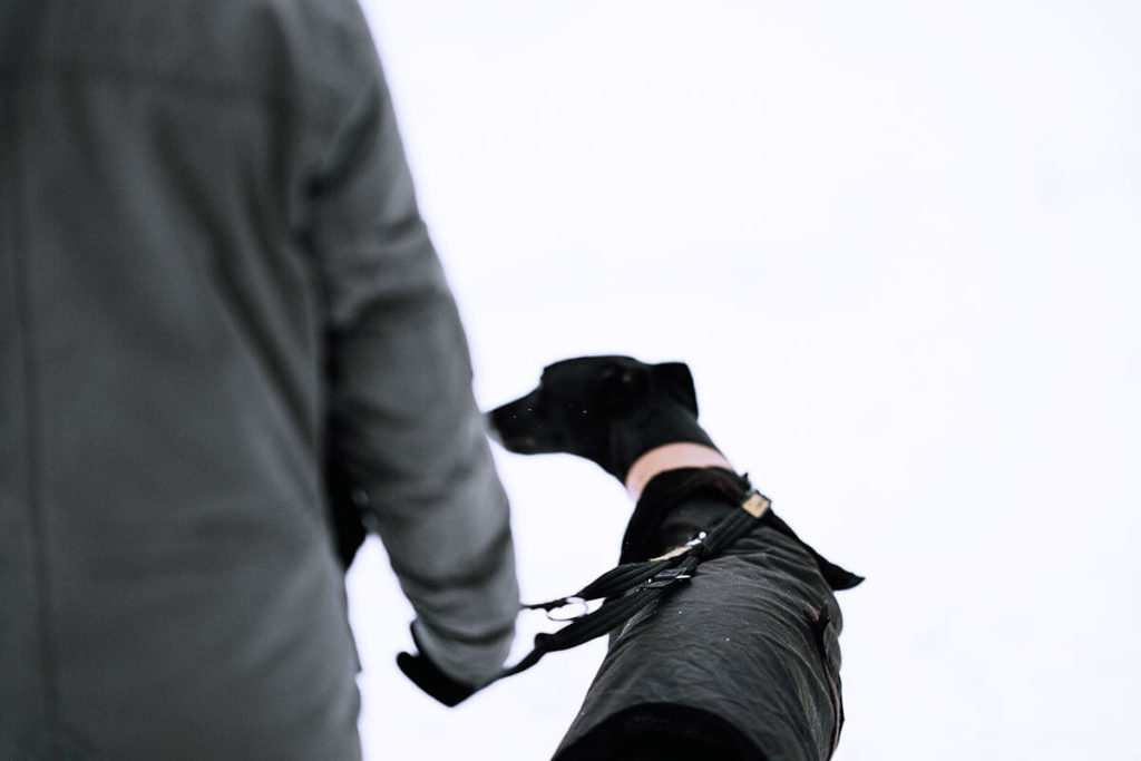 愛犬と一緒に受講するドッグトレーニングから、犬のしつけ、お散歩代行、LINE無料相談、ドッグホテル、ドッグ幼稚園、世田谷を中心に東京23区、神奈川、埼玉へ出張ドッグトレーニングサービスを提供しております。