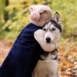 愛犬と一緒に受講するドッグトレーニングから、犬のしつけ、お散歩代行、LINE無料相談、ドッグホテル、ドッグ幼稚園、世田谷を中心に東京23区、神奈川、埼玉へ出張ドッグトレーニングサービスを提供しております。