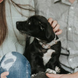 愛犬と一緒に受講するドッグトレーニングから、犬のしつけ、お散歩代行、LINE無料相談、ドッグホテル、ドッグ幼稚園、世田谷を中心に東京23区、神奈川、埼玉へ出張ドッグトレーニングサービスを提供しております。