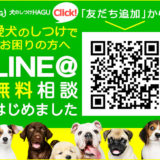 愛犬と一緒に受講するドッグトレーニングから、犬のしつけ、お散歩代行、LINE無料相談、ドッグホテル、ドッグ幼稚園、世田谷を中心に東京23区、神奈川、埼玉へ出張ドッグトレーニングサービスを提供しております。