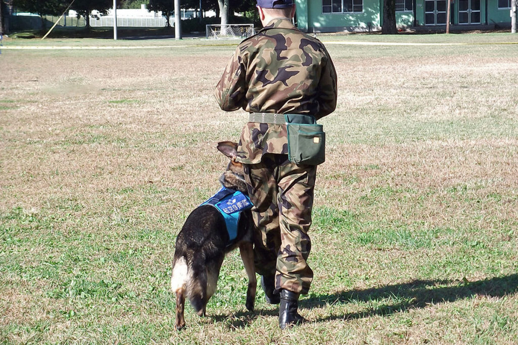 訓練犬とは?世田谷区と文京区で愛犬と一緒に受講するドッグトレーニングから、プロトレーナーによるトイレのしつけ、マナー他、ご自宅までお伺いする出張ドッグトレーニングサービス、お散歩代行、LINE無料相談、ドッグホテル、ドッグ幼稚園、短期間お預かりトレーニング、初回カウンセリングご相談後オリジナルメニューをお作りいたします。犬のしつけハグ