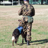 訓練犬とは?世田谷区と文京区で愛犬と一緒に受講するドッグトレーニングから、プロトレーナーによるトイレのしつけ、マナー他、ご自宅までお伺いする出張ドッグトレーニングサービス、お散歩代行、LINE無料相談、ドッグホテル、ドッグ幼稚園、短期間お預かりトレーニング、初回カウンセリングご相談後オリジナルメニューをお作りいたします。犬のしつけハグ