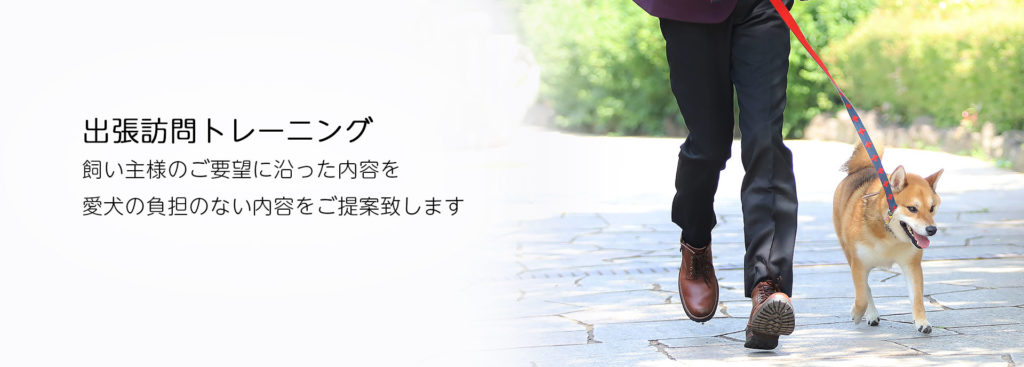 東京の世田谷区と文京区にあるドッグトレーニング犬のしつけ教室です。犬のしつけの専門家として『スッキリ』（日本テレビ系）で電話インタビュー出演のプロトレーナー川島恵によるご自宅までお伺いする出張ドッグトレーニング、犬のしつけサービスです。