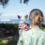 1人暮らしでも飼いやすい犬種は？犬を選ぶ時の3つのポイント