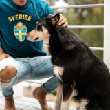 犬が喜ぶこと褒められること撫でられること一緒に遊ぶお散歩に行くドッグランへ行くと愛犬についてのご相談は東京の世田谷区と文京区のプロドッグトレーナー24時間常駐の犬のしつけハグまで