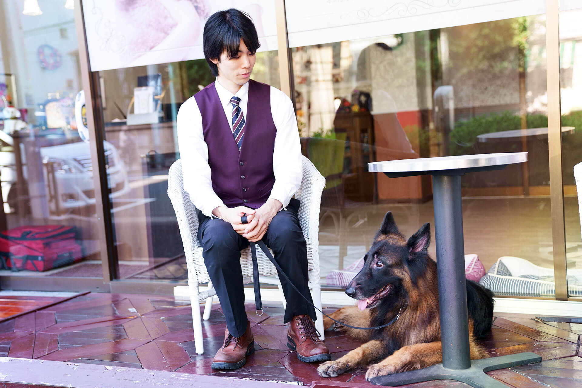吠え、噛む癖、トイレトレーニングは世田谷と文京区にある犬のしつけハグのカフェトレーニングスペース