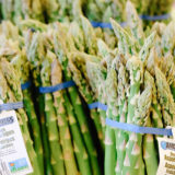 犬にアスパラガスを与えても大丈夫？小型犬に与えるの時の注意点と適量とは