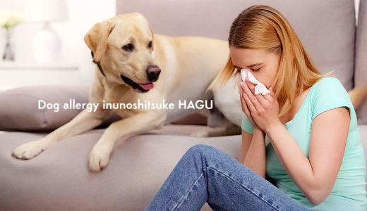 犬アレルギーの治療薬と犬アレルギー飼い主さんのための日常生活の注意点、対処方法