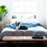 犬を飼う!ペット可の物件に入居するためにクリアしたい条件とは?【ペットの面接】