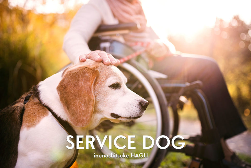 介助犬