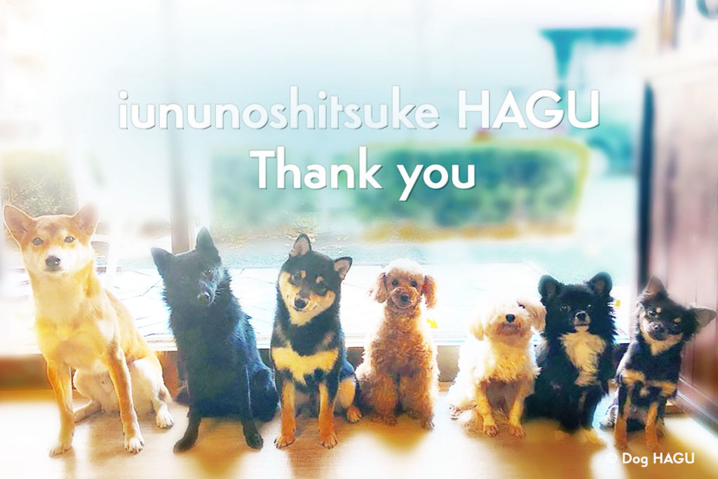 今年は大東京の世田谷区と文京区の犬のしつけ教室犬のしつけハグ変お世話になりました。