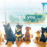 今年は大東京の世田谷区と文京区の犬のしつけ教室犬のしつけハグ変お世話になりました。