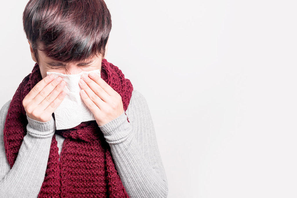 犬に飼い主さんのインフルエンザは移るの?【人間から犬へ】