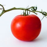 犬はトマトを食べてもいいの？トマトジュースを与える時の注意点は？