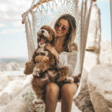 犬の性格は飼い主に似ることが判明!生活に影響される?