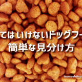 買ってはいけないドッグフード 簡単な見分け方|体臭やベタつきの原因