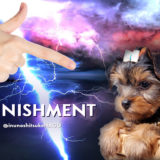 犬のしつけの仕方の一種「天罰方式」とは?|人間の精神状態は?