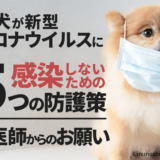 愛犬が新型コロナウイルスに感染しないための5つの防護策