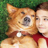 【感動】飼い主のイーサンとその愛犬ベイリーの心温まる物語…『ワンダフル・ライフ』