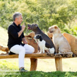 シーザーミランの番組から「犬のしつけ方」を考える|注意点も!