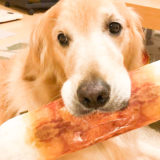 犬にちくわを食べさせても大丈夫?与える際に気を付けたい事