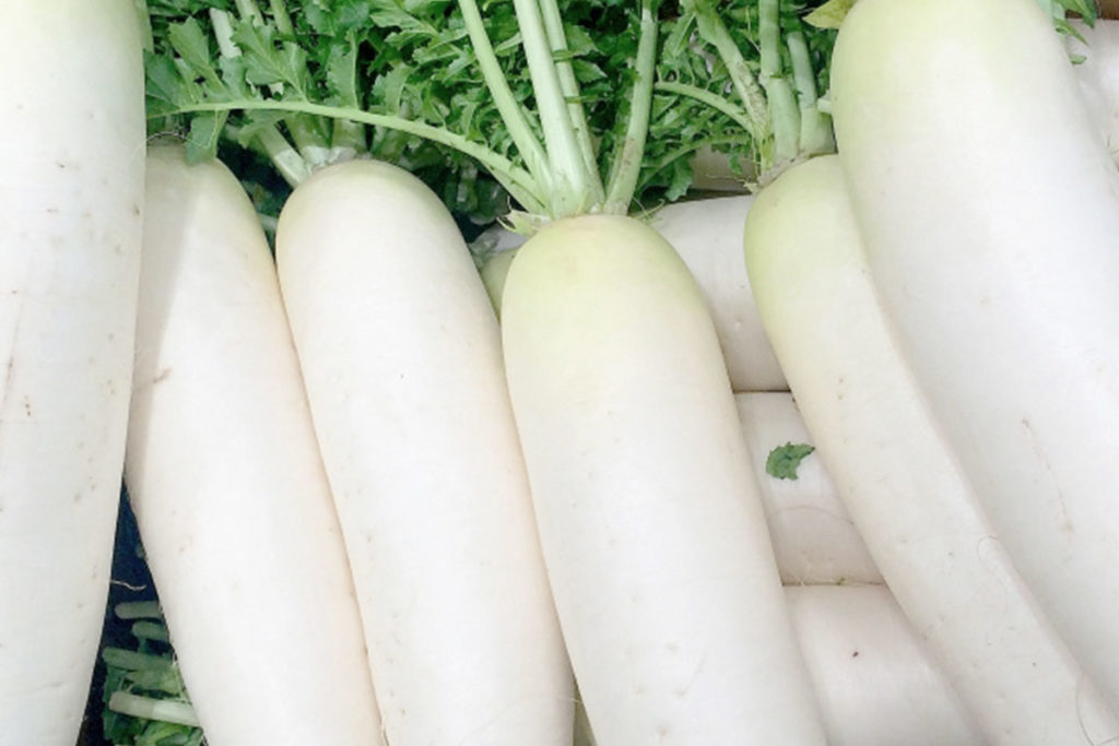 犬に大根を食べさせてもいいの?気を付けるべきことは?