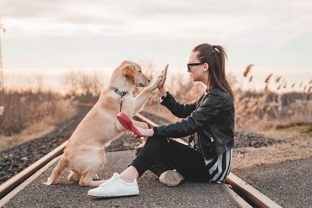 ドックトレーナー監修 犬のしつけがうまくいかない飼い主が見落としがちな6つのこと 犬のしつけ ハグ