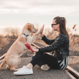 犬のしつけがうまくいかない飼い主が見落としがちな6つのこと