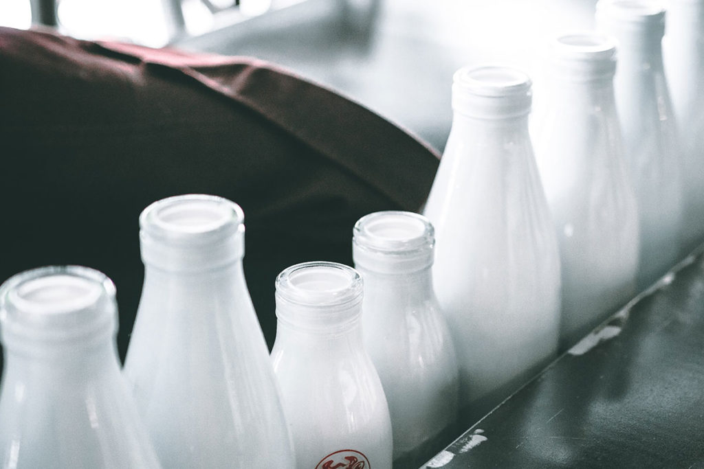 犬に牛乳を与えても大丈夫?犬に牛乳を与える際の注意点とは?