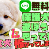【雑種:保護犬】ほとんど動かず便秘気味・臆病でなつかない