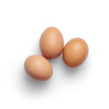 犬に半熟卵やゆで卵を与えてもOKなの?|うずらの卵は?