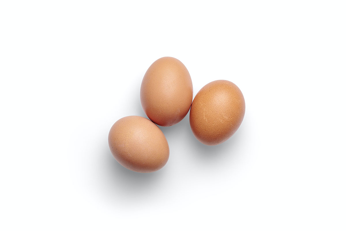 犬に半熟卵やゆで卵を与えてもokなの うずらの卵は 犬のしつけハグ