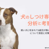 【犬のしつけ専門家の分析と考察】飼い犬に咬まれて6歳児が顔に大ケガ!生まれた時から飼っていた犬が豹変?!