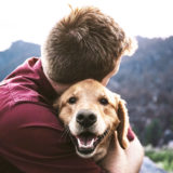 【はじめて犬を飼う】「犬の十戒」をまだご存知でない方へ