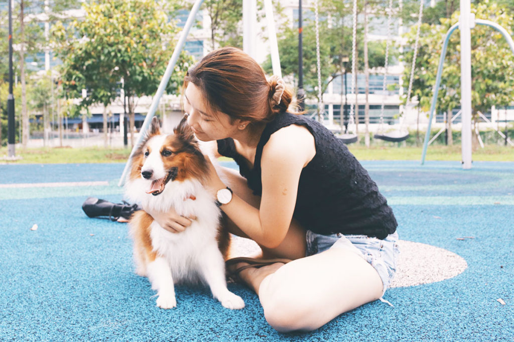 犬が抱っこから逃げるのは当然!でも対策すれば大丈夫!