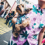 犬の抱っこのコツを徹底紹介!|抱っこの頻度はテキトーがいい!?