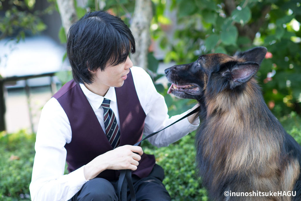 【ドッグトレーナー監修】犬のしつけができない理由は?｜まずは認識を改めましょう