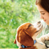 犬映画『僕のワンダフル・ジャーニー』イーサンの孫娘「CJ」を守るために生まれ変わる