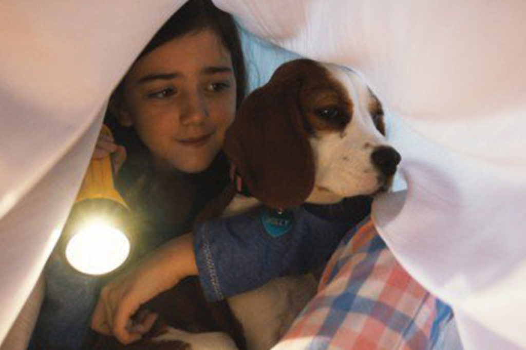 犬映画『僕のワンダフル・ジャーニー』イーサンの孫娘「CJ」を守るために生まれ変わる