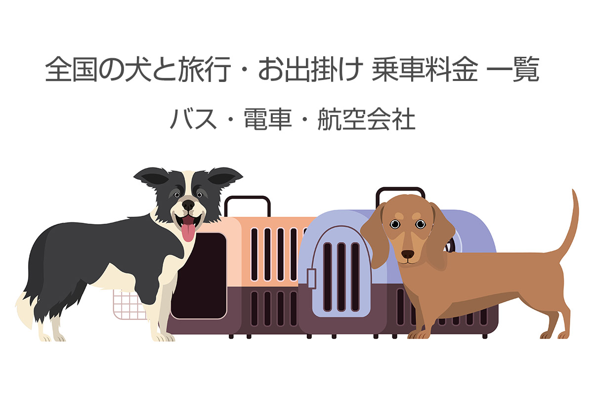 バス 犬 料金 ストア