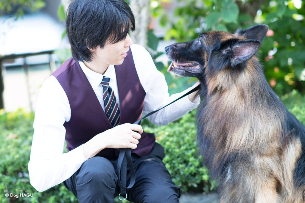 【ドッグトレーナー考察】【理想と現実】犬を迎え入れる上で知っておきたいこと。