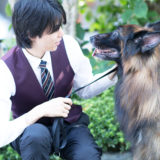 【ドッグトレーナー考察】【理想と現実】犬を迎え入れる上で知っておきたいこと。