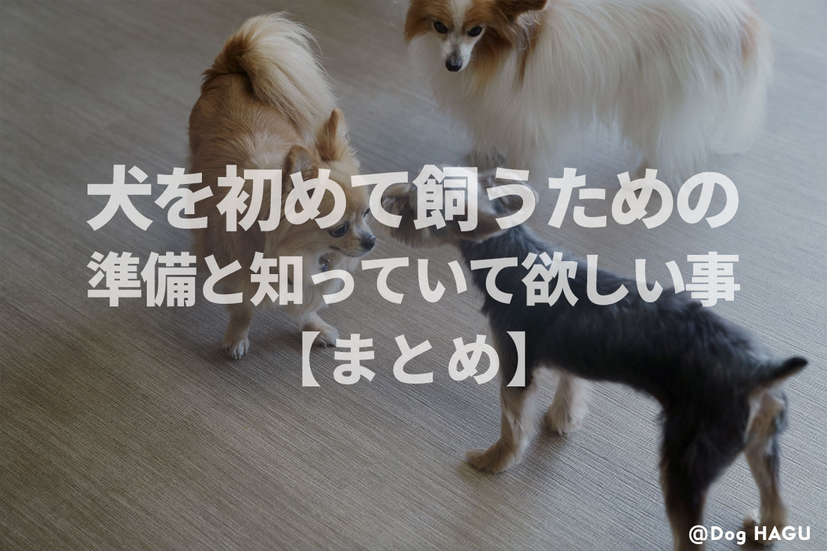 犬のしつけ専門家 監修 犬を初めて飼うための準備と知っていて欲しい事 まとめ 犬のしつけ ハグ