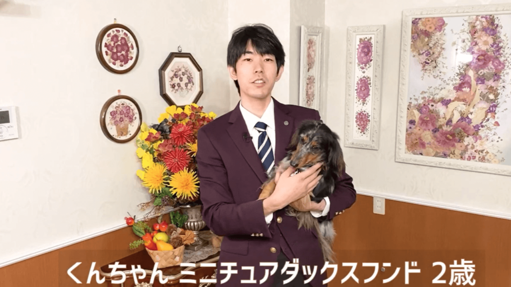 ドッグトレーナーが解説 犬が安心する抱っこの方法とは やってはいけないng抱っこ 犬のしつけ ハグ