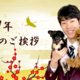 東京の世田谷区と文京区にある犬のしつけ経室、ドッグホテル犬のしつけハグの川島恵より新年のご挨拶