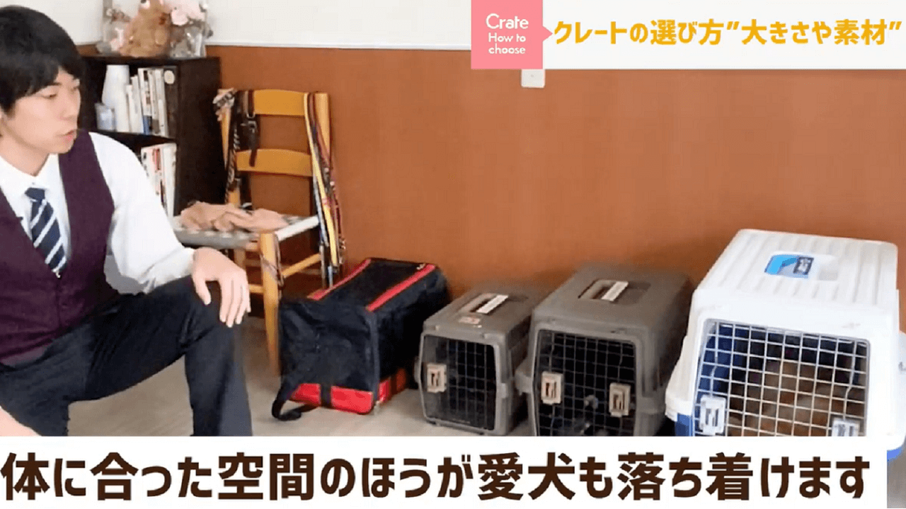 東京都文京区犬のしつけ教室でクレートの説明をするドッグトレーナー